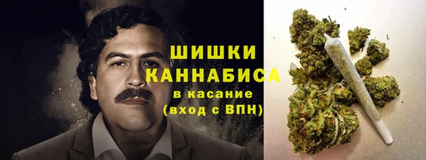 тгк Осинники