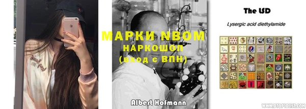 тгк Осинники