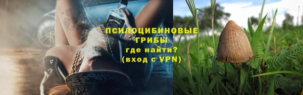 тгк Осинники