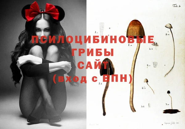 прущая мука Остров