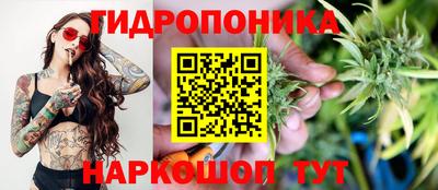 марихуана Аргун