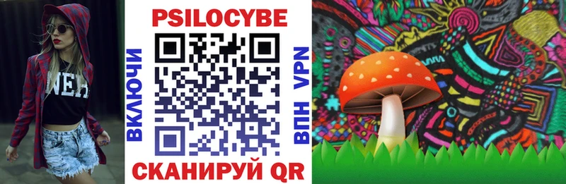 мега сайт цены Гурьевск Псилоцибиновые грибы мухоморы