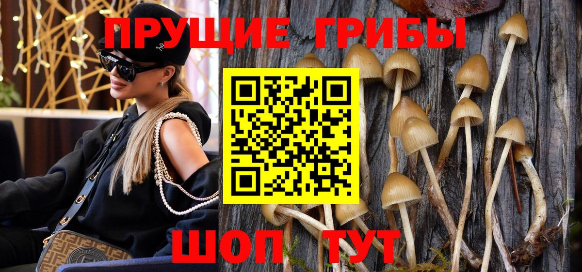 Галлюциногенные грибы ЛСД  Гурьевск 