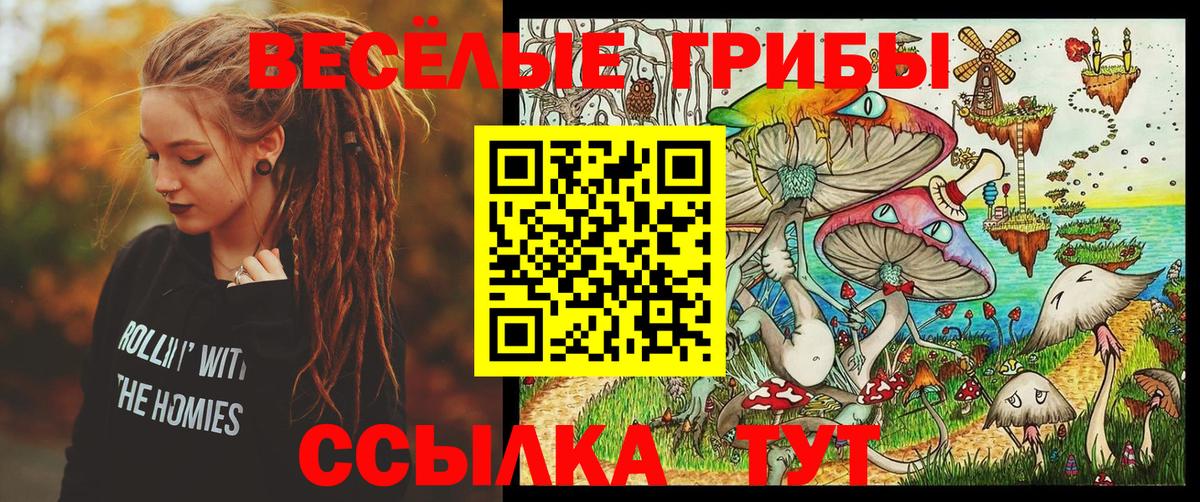 Галлюциногенные грибы мицелий  Вход с VPN  Гурьевск 