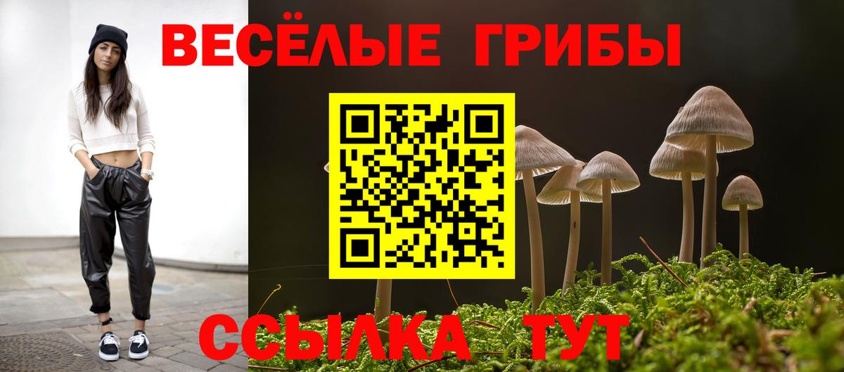 Псилоцибиновые грибы Psilocybine cubensis Гурьевск